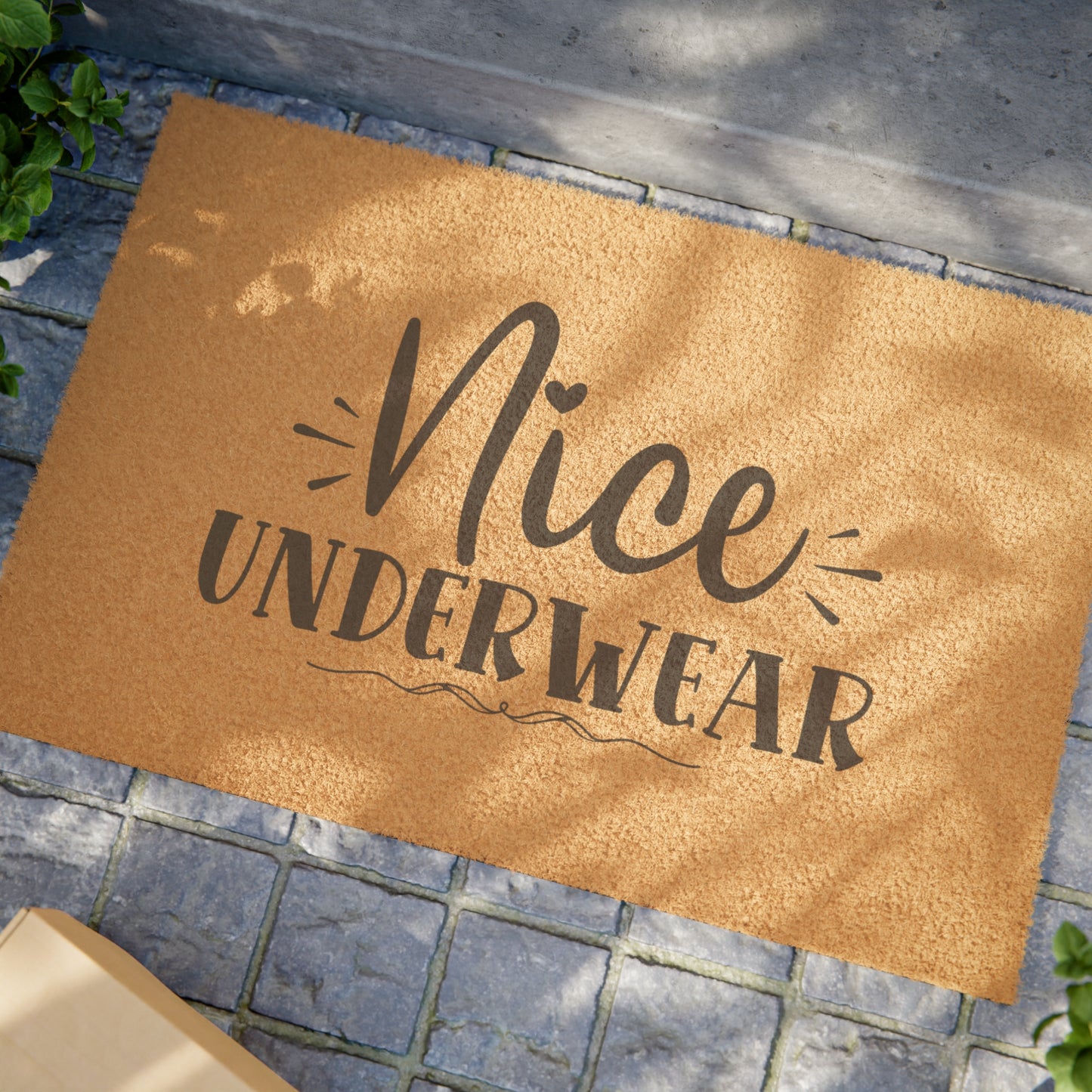 Nice Underwear Doormat